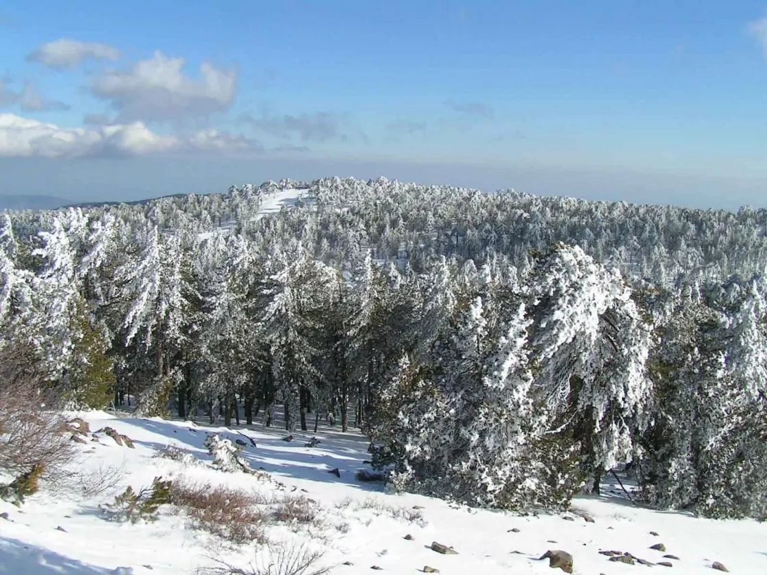 Snowy mountains of troodos.